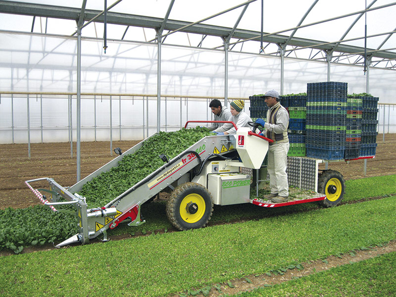 depietri raccoglitrice ortaggi elettrica FR38 ECO
