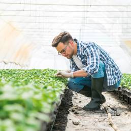 Free technical advice on Agricultural Machinery for Horticulture - DE PIETRI