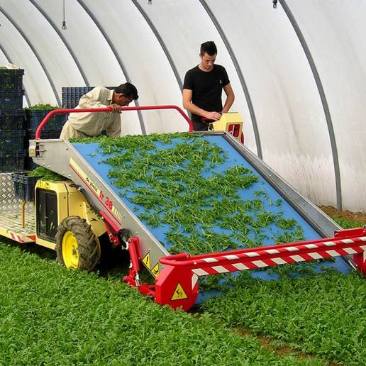 Specialised Spinach and Baby Spinach Harvesters - De Pietri