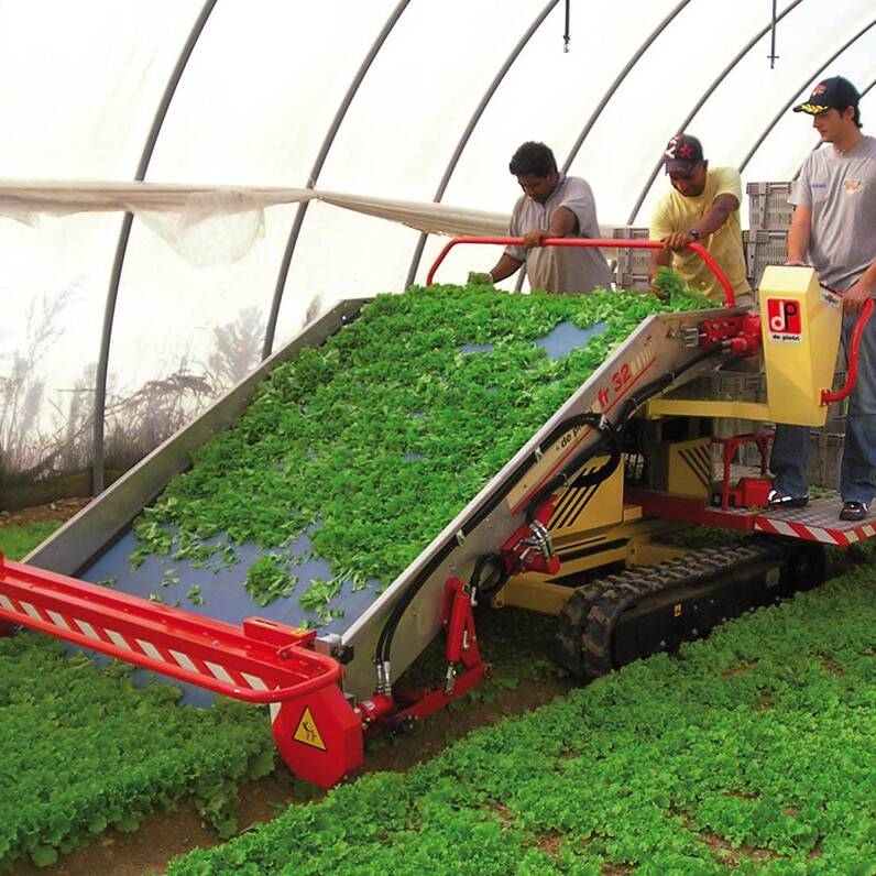 Raccoglitrice per Basilico, Ortica, Insalata, Prezzemolo, Salvia, Spinaci, Rucola ed erbe aromatiche