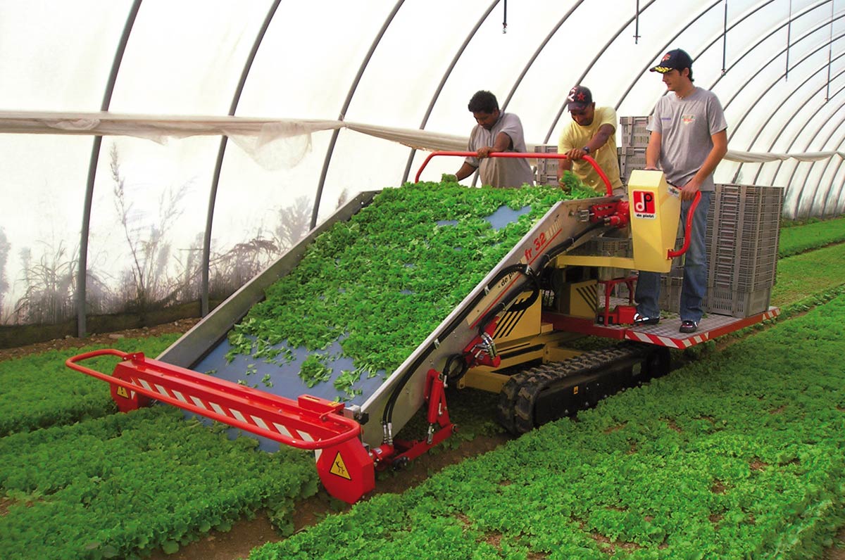 Harvester for Basil, Nettle, Salad, Parsley, Sage, Spinach, Rocket and aromatic herbs - DE PIETRI
