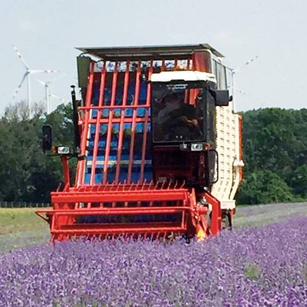 Lavender harvester FR 100 - DE PIETRI