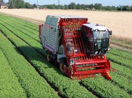industrielle-harvester-offizielle-anlagen-FR104special-depietri03