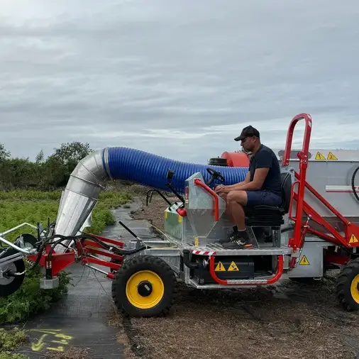 Macchina taglia gerani in azione