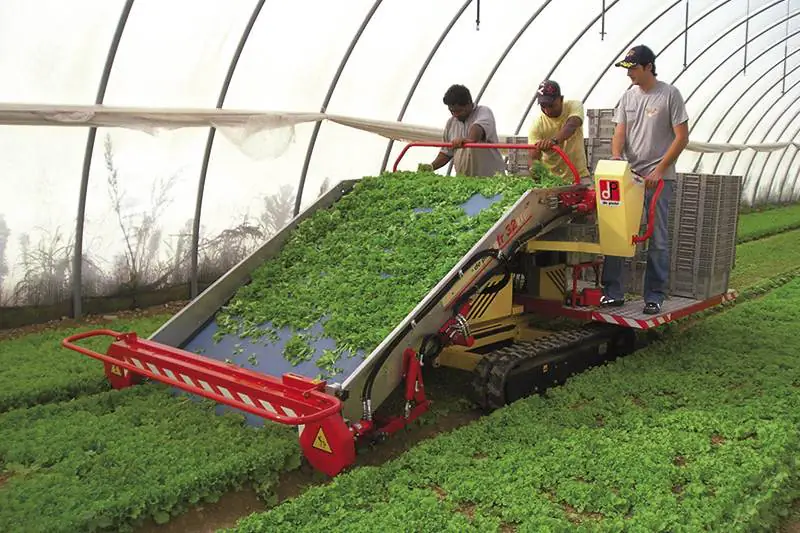 Raccoglitrice Basilico FR 28 - De Pietri